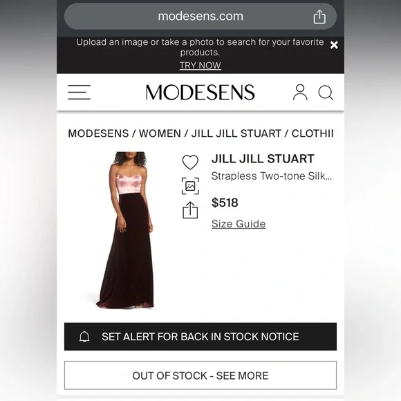 Jill Stuart (Orig: $518) Two Tone Silk Velvet Strapless Formal Gown Sz 10 - Picture 5 of 12